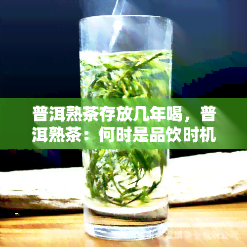 普洱熟茶存放几年喝，普洱熟茶：何时是品饮时机？存放年限与口感