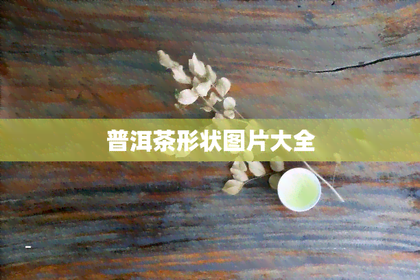 普洱茶形状图片大全