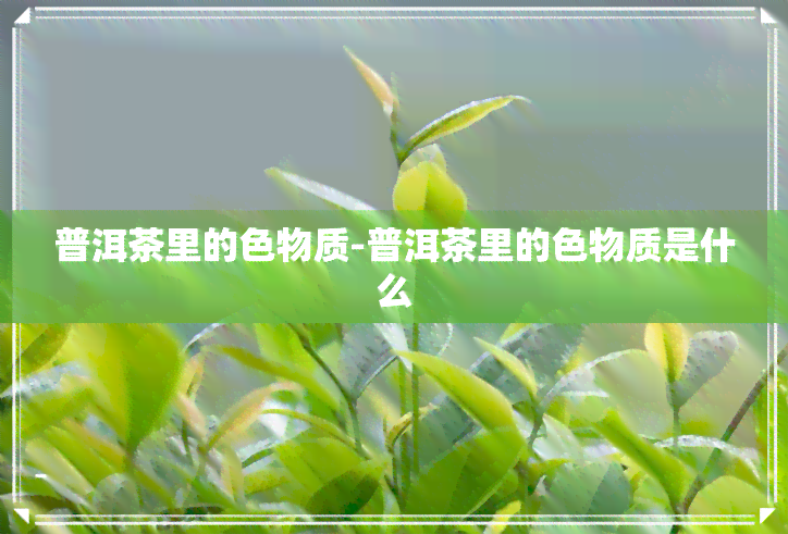 普洱茶里的色物质-普洱茶里的色物质是什么