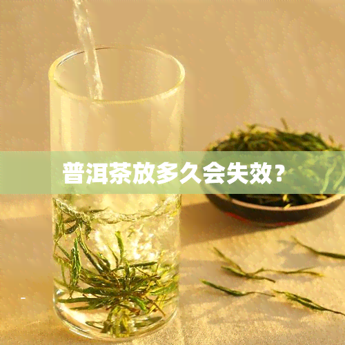 普洱茶放多久会失效？