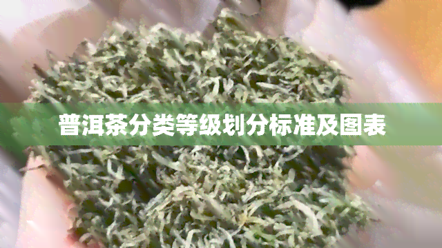 普洱茶分类等级划分标准及图表