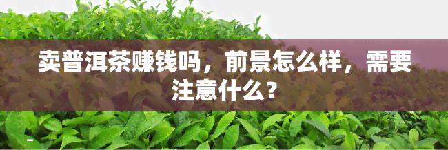 卖普洱茶赚钱吗，前景怎么样，需要注意什么？