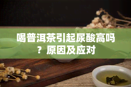 喝普洱茶引起尿酸高吗？原因及应对