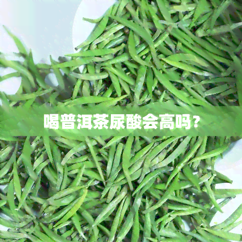 喝普洱茶尿酸会高吗？