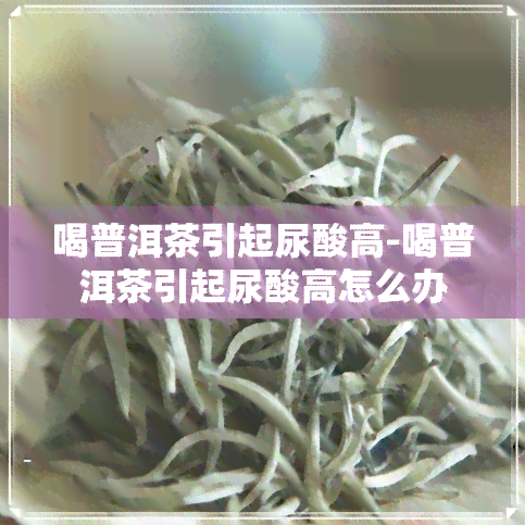 喝普洱茶引起尿酸高-喝普洱茶引起尿酸高怎么办