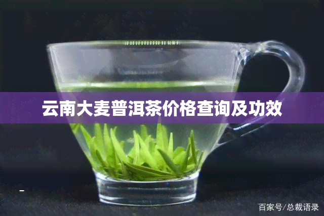 云南大麦普洱茶价格查询及功效