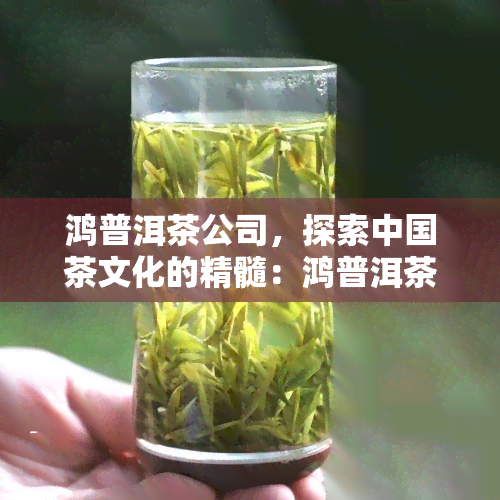 鸿普洱茶公司，探索中国茶文化的精髓：鸿普洱茶公司的传奇故事