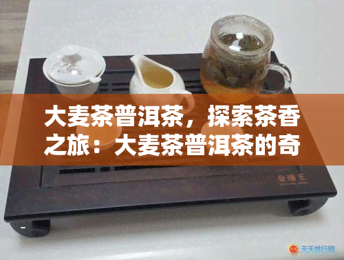 大麦茶普洱茶，探索茶香之旅：大麦茶普洱茶的奇妙融合