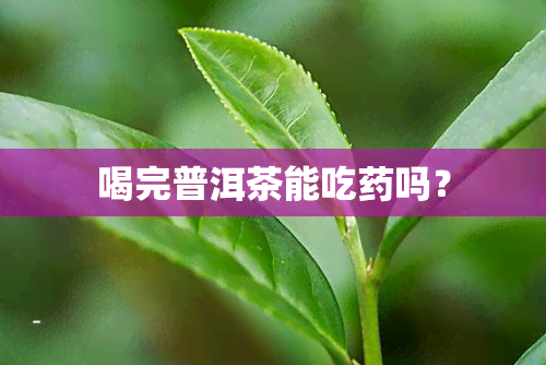 喝完普洱茶能吃吗？