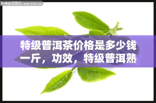 特级普洱茶价格是多少钱一斤，功效，特级普洱熟茶价格，特级普洱茶百科