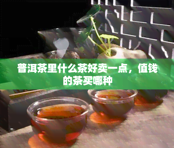 普洱茶里什么茶好卖一点，值钱的茶买哪种