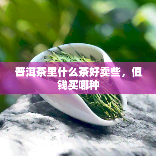 普洱茶里什么茶好卖些，值钱买哪种