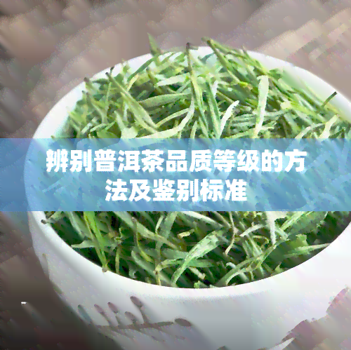 辨别普洱茶品质等级的方法及鉴别标准