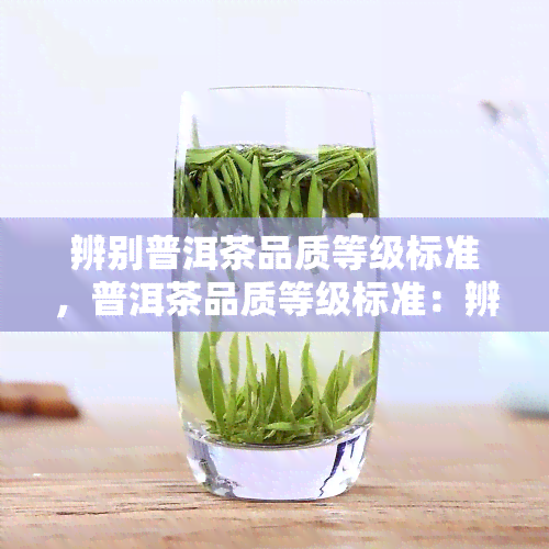 辨别普洱茶品质等级标准，普洱茶品质等级标准：辨别的关键