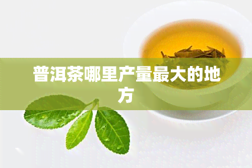 普洱茶哪里产量更大的地方