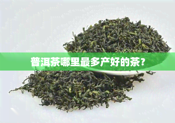 普洱茶哪里最多产好的茶？