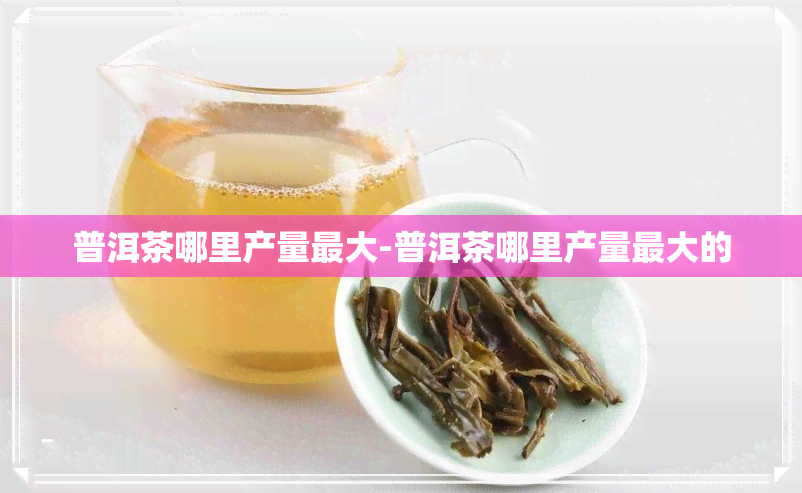 普洱茶哪里产量更大-普洱茶哪里产量更大的