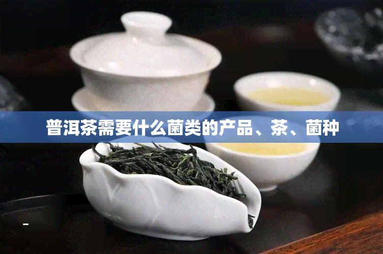 普洱茶需要什么菌类的产品、茶、菌种