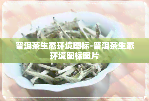 普洱茶生态环境图标-普洱茶生态环境图标图片