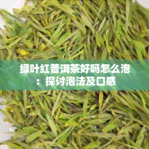 绿叶红普洱茶好吗怎么泡：探讨泡法及口感