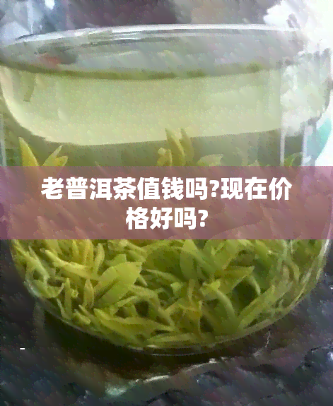 老普洱茶值钱吗?现在价格好吗?