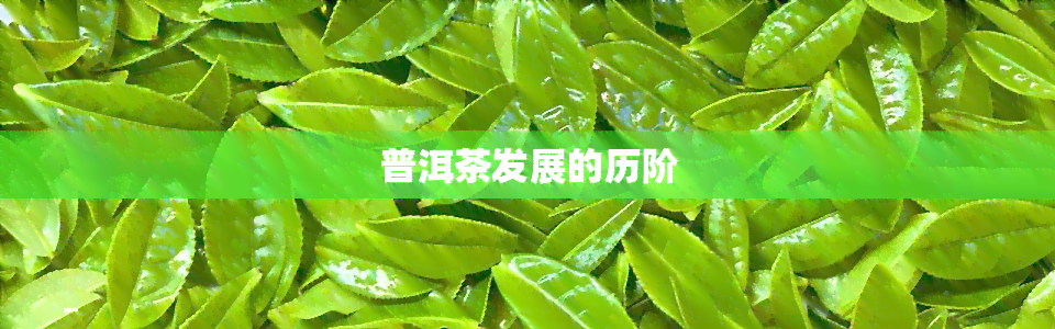 普洱茶发展的历阶