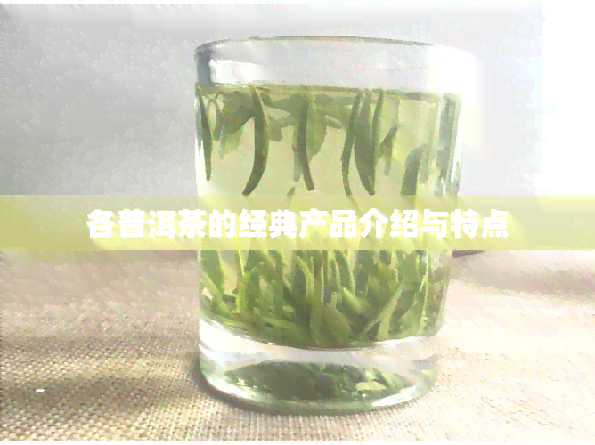 各普洱茶的经典产品介绍与特点