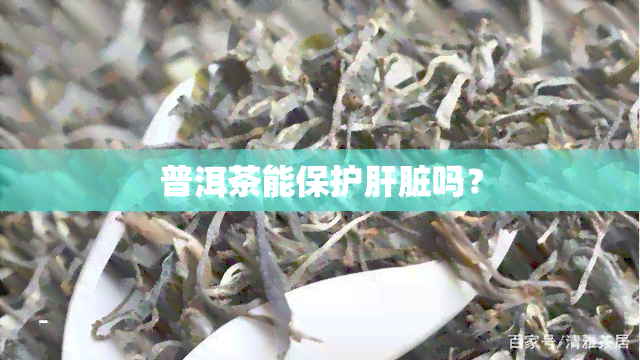 普洱茶能保护肝脏吗？