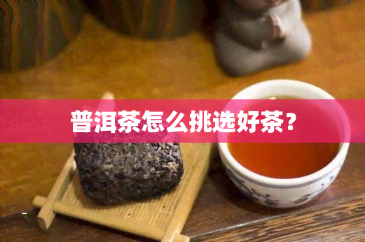 普洱茶怎么挑选好茶？