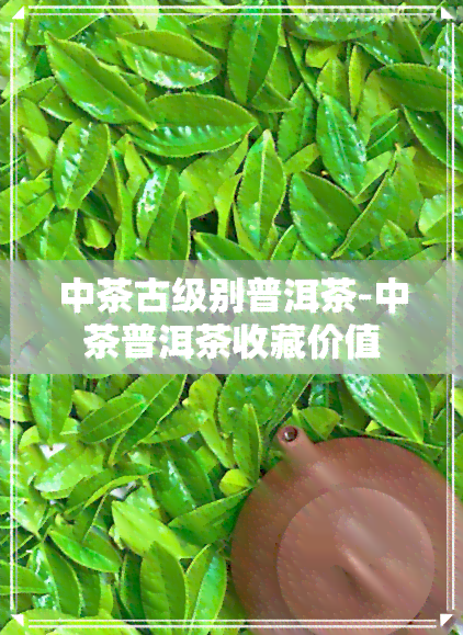 中茶古级别普洱茶-中茶普洱茶收藏价值