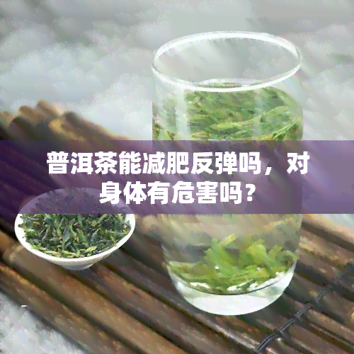 普洱茶能减肥反弹吗，对身体有危害吗？