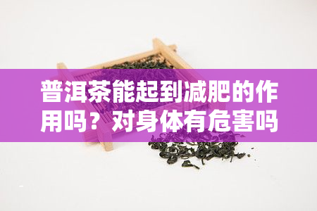 普洱茶能起到减肥的作用吗？对身体有危害吗？