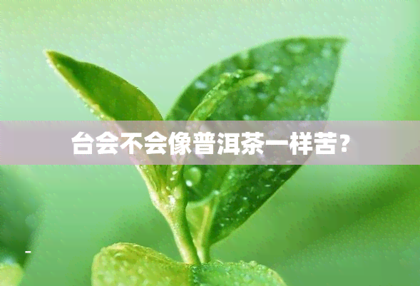 台会不会像普洱茶一样苦？