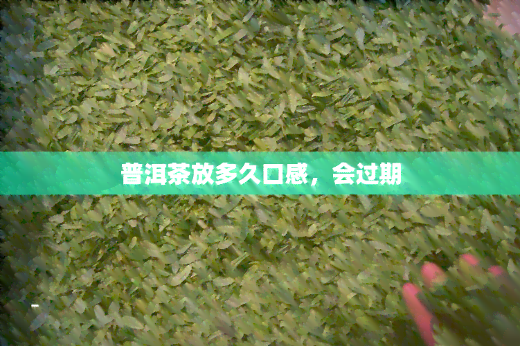 普洱茶放多久口感，会过期