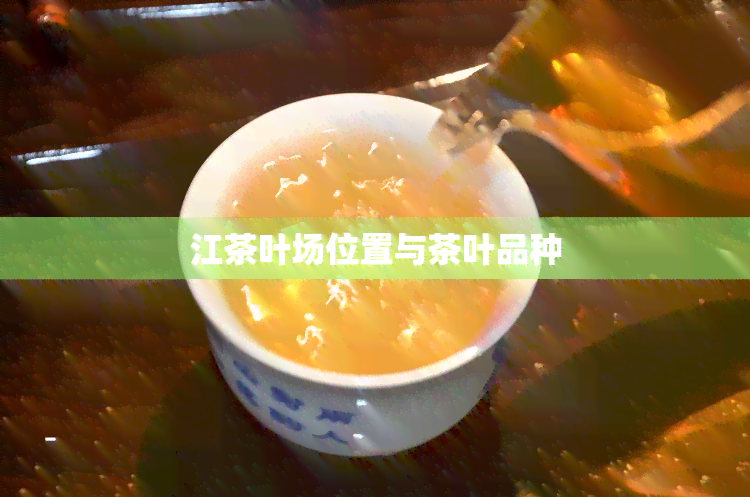 江茶叶场位置与茶叶品种