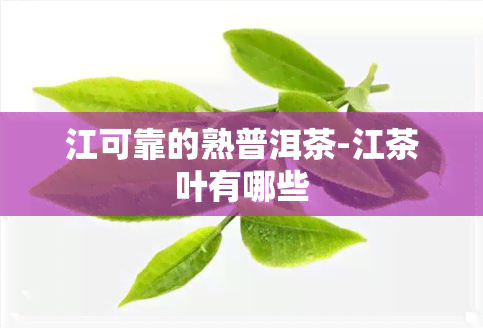 江可靠的熟普洱茶-江茶叶有哪些