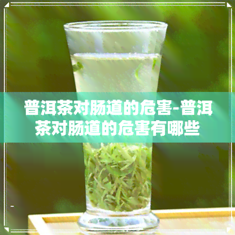 普洱茶对肠道的危害-普洱茶对肠道的危害有哪些