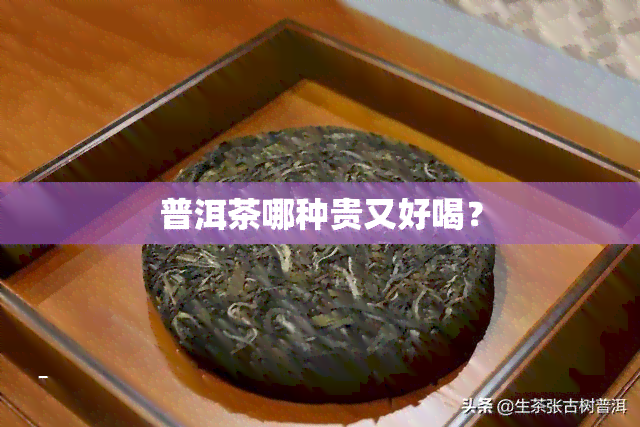 普洱茶哪种贵又好喝？