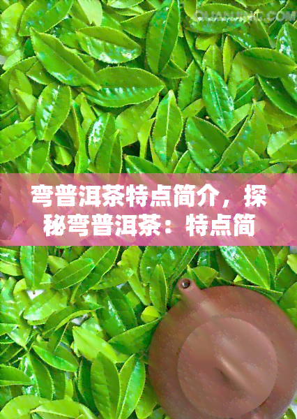 弯普洱茶特点简介，探秘弯普洱茶：特点简介