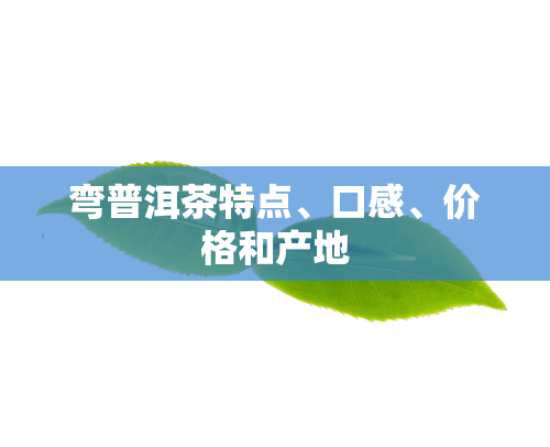 弯普洱茶特点、口感、价格和产地