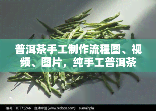 普洱茶手工制作流程图、视频、图片，纯手工普洱茶制作过程