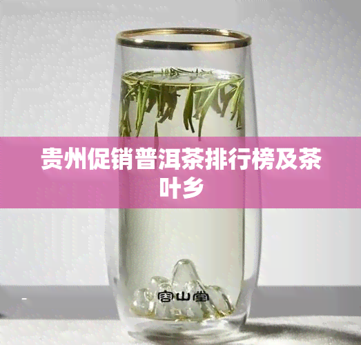 贵州促销普洱茶排行榜及茶叶乡