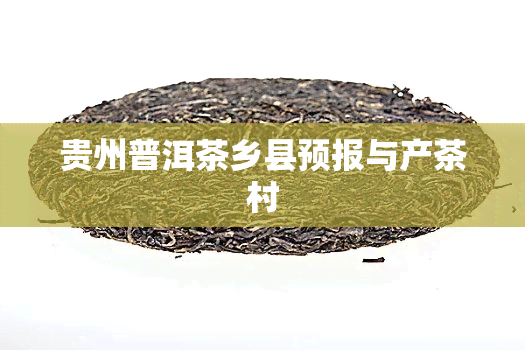 贵州普洱茶乡县预报与产茶村