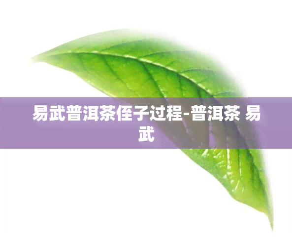 易武普洱茶侄子过程-普洱茶 易武