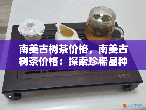 南美古树茶价格，南美古树茶价格：探索珍稀品种的市场行情