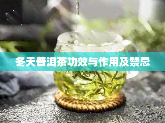 冬天普洱茶功效与作用及禁忌