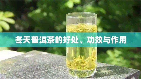 冬天普洱茶的好处、功效与作用