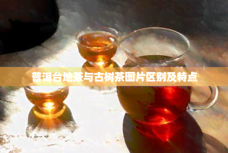 普洱台地茶与古树茶图片区别及特点