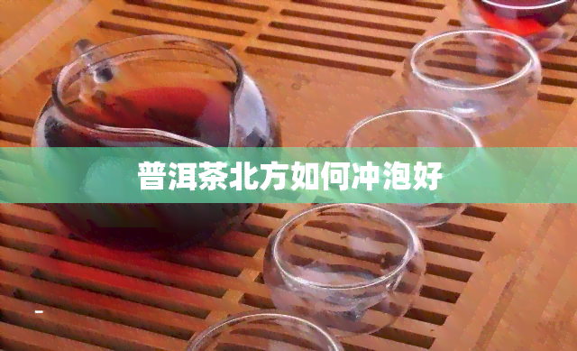 普洱茶北方如何冲泡好