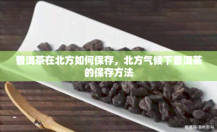 普洱茶在北方如何保存，北方气候下普洱茶的保存方法